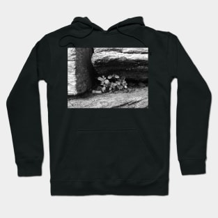 Black and White hidden plants Hoodie